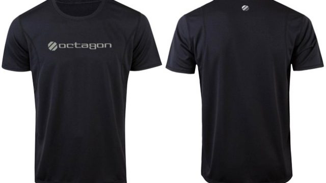 ufc-octagon-training-top