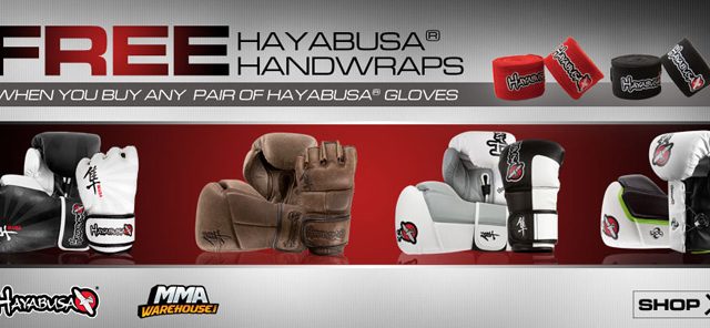 hayabusa-handwrap-deal