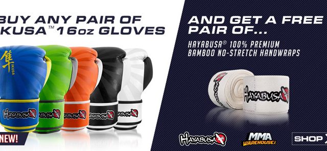 hayabusa-ikusa-gloves-deal