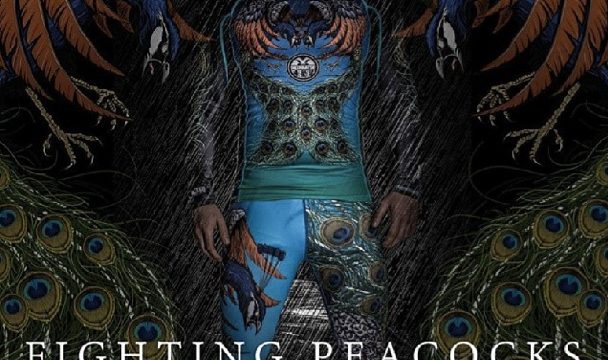 meerkatsu-fighting-peacocks-rashguard-and-spats