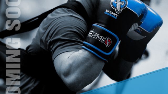 hayabusa-sport-training-glove-preview-1
