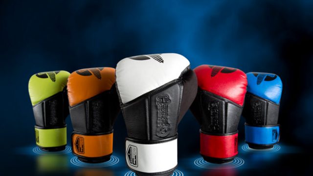 hayabusa tokushu regenesis gloves