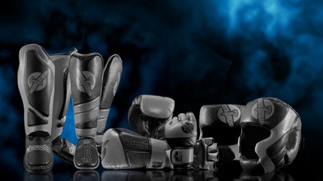 hayabusa-tokushu-regenesis-series-preview