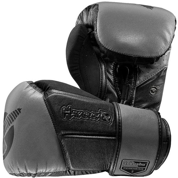 Hayabusa Tokushu Regenesis Boxing Gloves | FighterXFashion.com