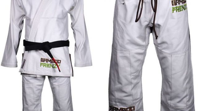 submission-bamboo-frenzy-gi-image-1