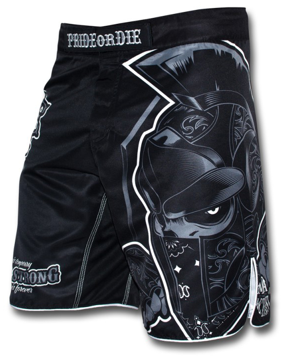 Pride or Die Stand Strong Fight Shorts | FighterXFashion.com