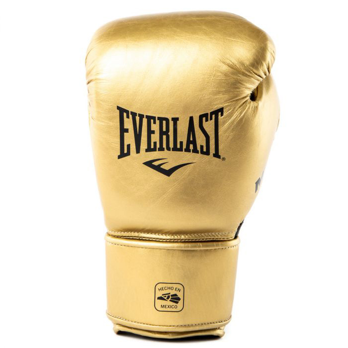 Everlast MX2 Pro Gold Mexican Boxing Gloves